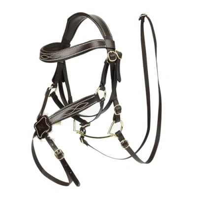Immagine di LeMieux Hobby Horse bridle grackle