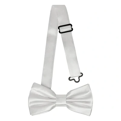 Immagine di Ladeheid Papillon per bambini maschi Pre legato, banda regolabile, design lucido, ideale matrimoni, compleanni, inizio scuola Resistente e stiloso BKS (10cm x 5cm, Argento)