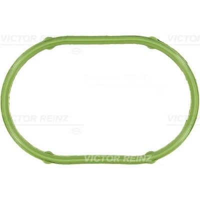 Immagine di REINZ 71 34097 00 Guarnizione Collettore Aspirazione VOLKSWAGEN: Golf 4, 4 Variant, Bora AUDI: A3 Hatchback, SEAT: Leon I Hatchback