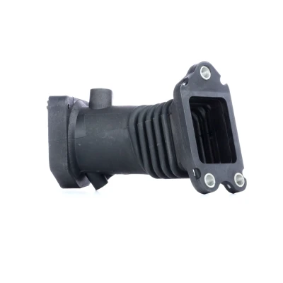 Immagine di RIDEX 1591I0017 Flessibile d&#039;aspirazione, Filtro aria 154 FORD: Focus C Max, 2, MAZDA: 3 Hatchback