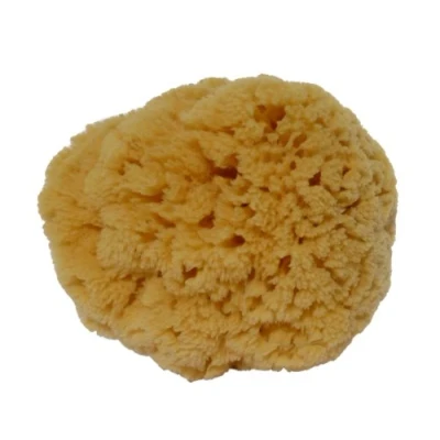 Immagine di Naturschwamm G3,ca. 15 cm