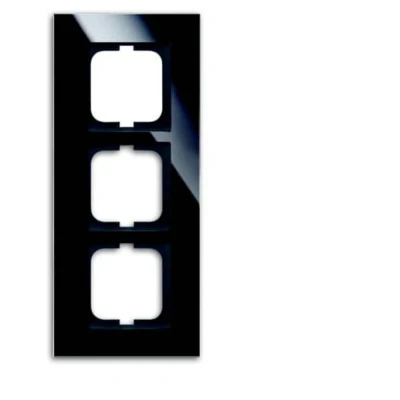 Immagine di Busch Jaeger, Programma di commutazione degli accessori, Telaio