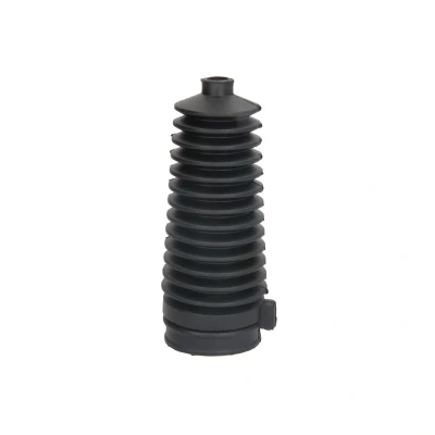 Immagine di PASCAL I6F017PC Cuffia Scatola Sterzo Assale anteriore bilaterale FORD: Focus Mk1 Hatchback, KA FIESTA 4