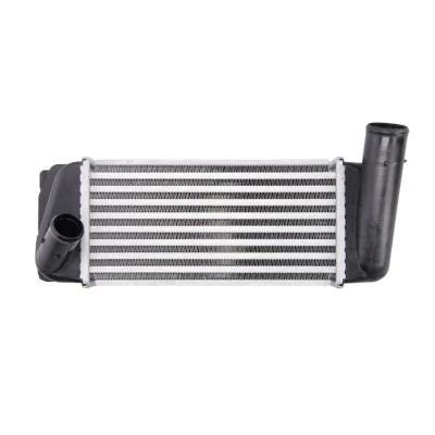 Immagine di NRF 30347 Intercooler