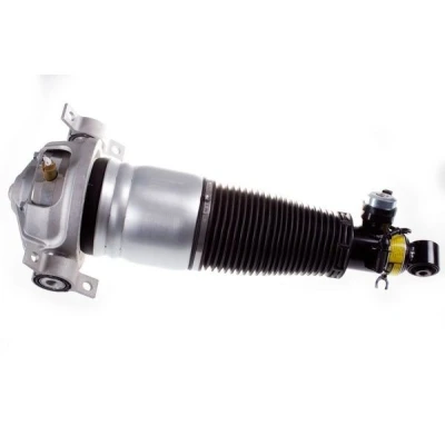 Immagine di DENCKERMANN DSA016G Gamba elastica con ammortiz. pneumatico Assale posteriore Sx