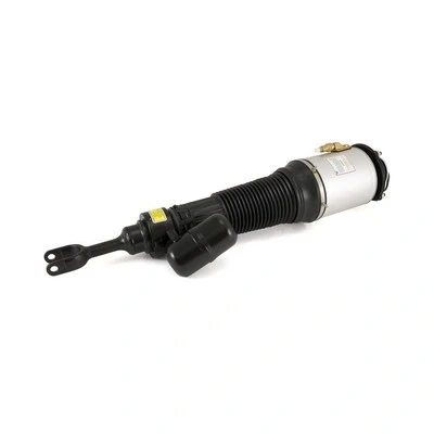 Immagine di Arnott AS 2581 Gamba elastica con ammortiz. pneumatico anteriore Sx