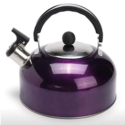 Immagine di RHP Bollitore a fischio, in acciaio inox, 3 l, colore: viola