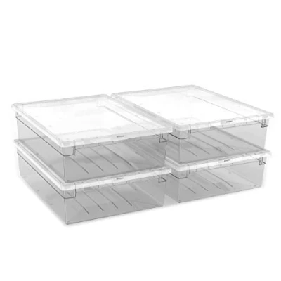 Immagine di Terry, Set contenitori con Coperchio, Trasparenti, 4 Unità