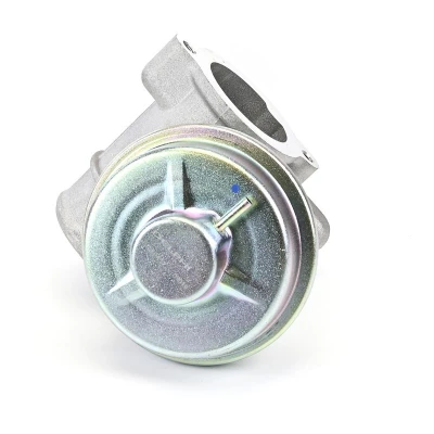Immagine di DELPHI EG10412 12B1 Valvola EGR senza radiatore FORD: Transit Mk6 Van, Bus, Camion pianale/Telaio