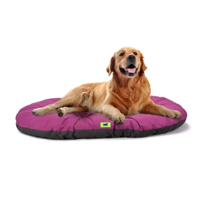 Immagine di Ferplast Cuccia Cane Relax, Cuscino per cani di taglia grande, Gatto, Tappetino cucce e auto Lavabile in Cotone con Soffice Imbottitura, 100 x 63 cm. Viola