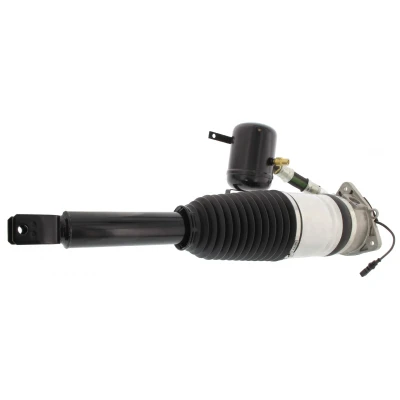 Immagine di MAPCO 40894 Gamba elastica con ammortiz. pneumatico Assale posteriore Sx AUDI: A8 D3