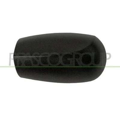 Immagine di PRASCO FT1337404 Copertura, Specchio esterno Sx nero