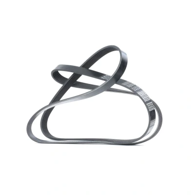 Immagine di MEYLE 050 006 1836 Cinghia Poly V 6 EPDM (Etilene Propilene Diene Caucciù) ORIGINAL Quality BMW: 3 Touring, Sedan, 1 Hatchback, ALFA ROMEO: 147