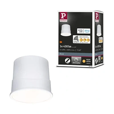 Immagine di PAULMANN 92469 Lampada a LED ERP: F (A G) (monocolore) 4.9 W Satinato