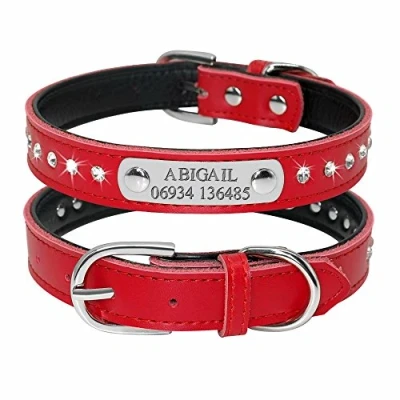 Immagine di Didog, Collare per Cani Imbottito con Strass Scintillanti, targhetta identificativa Incisione, in Pelle, e Gatti di Taglia Piccola Media, Personalizzabile
