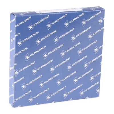 Immagine di KOLBENSCHMIDT 800079310000 Kit Fasce Elastiche 101,05