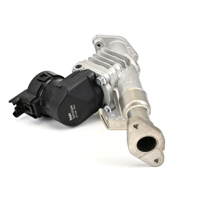Immagine di Valvola EGR DELPHI EG10488 12B1