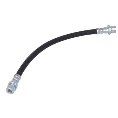 Immagine di DELPHI LH7216 Tubi Freno 299 M10x1 INT DF