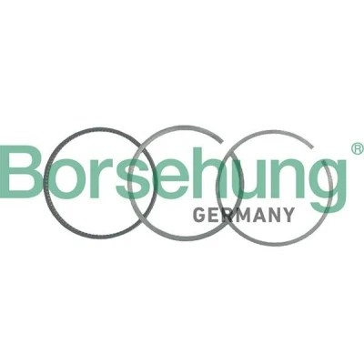 Immagine di Borsehung B19040 Kit Fasce Elastiche VOLKSWAGEN: Golf 4, Transporter 5, AUDI: A3 Sportback, A4 B7 Avant, Hatchback
