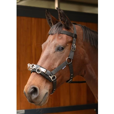Immagine di Harry&#039;s Horse cavesson Pony Nero