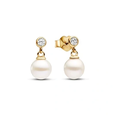 Immagine di Pandora Signature Collana Argento 393162C01 50