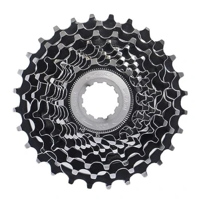 Immagine di XLC Cassetta pignoni 2502453100 Argento 12 25T