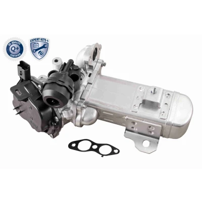 Immagine di VEMO EXPERT KITS + V22 63 0004 Valvola EGR elettrico con guarnizione senza sensore, spina/cappuccio, bypass depressione PEUGEOT: 308 I SW