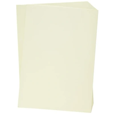 Immagine di Antalis Coloraction 89710 Risma di carta colorata, formato A4, 250 fogli, 160 g/m2, colore: Avorio (Atoll)