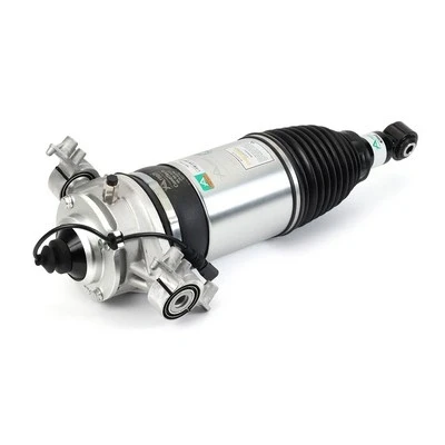 Immagine di Arnott AS 3166 Gamba elastica con ammortiz. pneumatico posteriore Dx