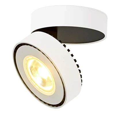 Immagine di Dr.Lazy Lampada da soffitto a LED regolabile 12W regolabile, plafoniera, faretto di superficie, faretti montati, 10X10x6cm (bianco 3000K) [Classe energetica A+]