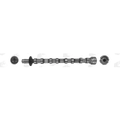 Immagine di AE CAM1019 Albero a Camme Lato scarico FIAT: Scudo II Van, II, CITROËN: C4 Picasso 1, Jumpy FORD: C Max 2, Galaxy Mk2 MPV