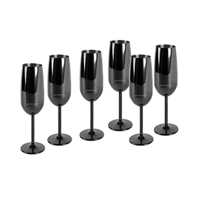 Immagine di ECHTWERK Set di 6 bicchieri da spumante e champagne in acciaio inox, edizione nera, 250 ml, 22,5 x 6,3 cm