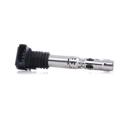 Immagine di DELPHI GN10236 12B1 Bobina d&#039;accensione 4 12 VOLKSWAGEN: Golf 4, Polo IV Hatchback, New Beetle AUDI: TT Coupe, A3 A4 B5 Avant
