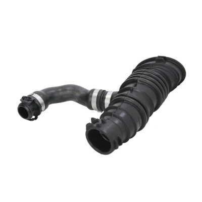 Immagine di THERMOTEC DCG090TT Flessibile d&#039;aspirazione, Filtro aria Entrata FORD: Focus 2, C Max, VOLVO: V50, S40 II