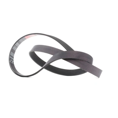 Immagine di GATES 6PK1353 Cinghia Poly V 1353 6 Poliestere, EPDM (Etilene Propilene Diene Caucciù) RoadMax Value Line FORD: Focus 2 Kombi,