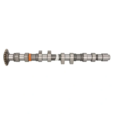 Immagine di KOLBENSCHMIDT 50006308 Albero a Camme Lato scarico SEAT: Leon I Hatchback, VOLKSWAGEN: New Beetle Cabrio, AUDI: A6 C5 Avant, A3 Hatchback