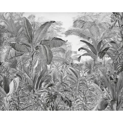 Immagine di Komar Roraima Carta da parati fotografica in tessuto non tessuto, dimensioni: 350 x 280 cm (larghezza altezza), giungla, foresta pluviale, s/w, palme, cameretta dei bambini, IAX7 0003