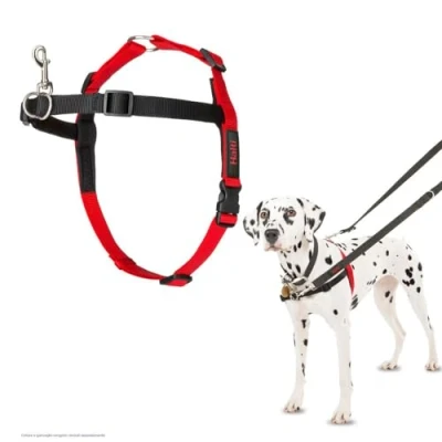 Immagine di Pettorina a controllo frontale HALTI per impedire al cane di tirare il guinzaglio, regolabile e semplice da utilizzare. addestramento anti trazione cani taglia media (Taglia M)