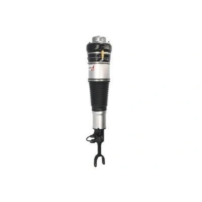 Immagine di Magnum Technology APA001MT Gamba elastica con ammortiz. pneumatico anteriore Sx AUDI: A6 C6 Avant, Allroad