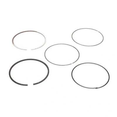 Immagine di GOETZE ENGINE 08 428100 00 Kit Fasce Elastiche 79 FORD: Focus 3, 2 Kombi, FIESTA 6