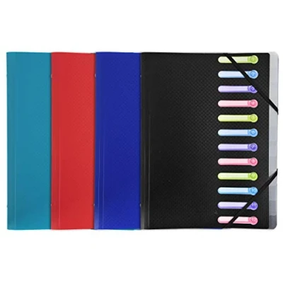 Immagine di Exacompta 55180E Classificatori con Punti Metallici, 25x32 cm, Multicolore
