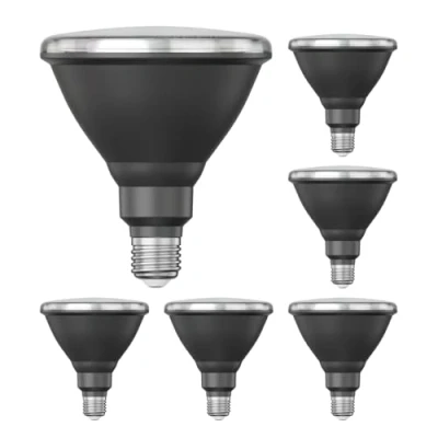 Immagine di ledscom.de 6 pezzi E27 lampadina LED, PAR38 collo corto, bianco caldo (2700 K), 15,9 W, 1279lm, 43, specchio riflettore (argento)