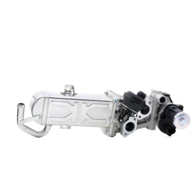 Immagine di PIERBURG 7.09720.00.0 Valvola EGR elettrico con guarnizione VOLKSWAGEN: Golf 6, Sharan II, AUDI: A3 Sportback, Q3, SEAT: Leon II Hatchback