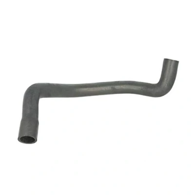 Immagine di ORIGINAL IMPERIUM 222414 Tubo Radiatore Dx in basso FORD: Focus Mk1 Hatchback, Station Wagon, Van / Wagon
