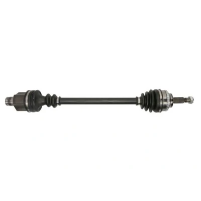 Immagine di Albero motore/Semiasse PASCAL G2R068PC