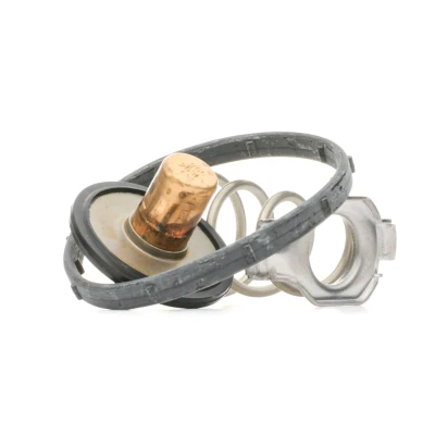 Immagine di MOTORAD 724 95 Termostato motore 90 con guarnizioni CHRYSLER: GRAND 5OYAGER 5, JEEP: CHEROKEE 4