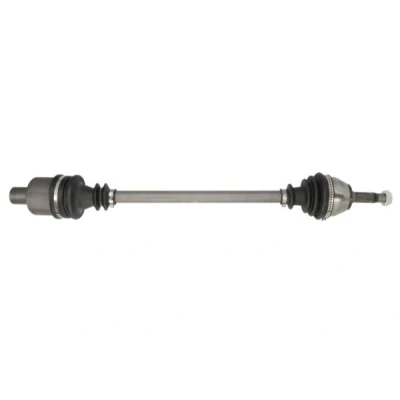 Immagine di Albero motore/Semiasse PASCAL G2E003PC