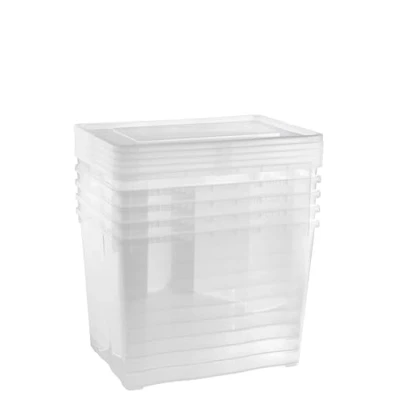 Immagine di Grizzly scatole di stoccaggio 5 x 20 L medio alte con coperchio trasparente trasparenti impilabili ventilazione