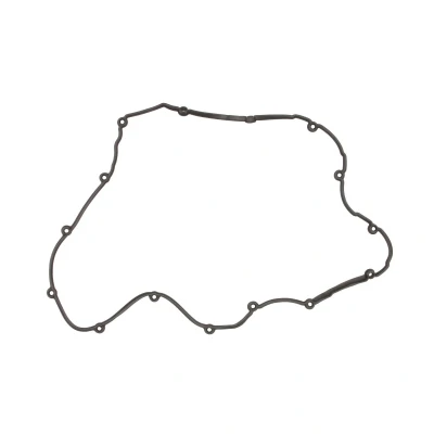 Immagine di REINZ 71 39468 00 Guarnizione Coperchio Punterie ACM (Poliacrilico Caucciù)