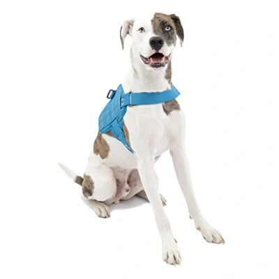 Immagine di Kurgo Townie RSG Pettorina per Cani, Giubbotto di Addestramento Include Maniglia, Catarifrangente, Compatibile con MOLLE Blu, M